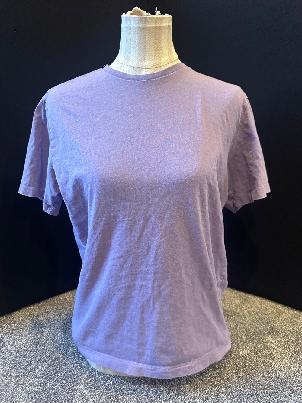 Zara Lavender Short Sleeve Crew Tee